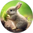 Sean H. profile picture